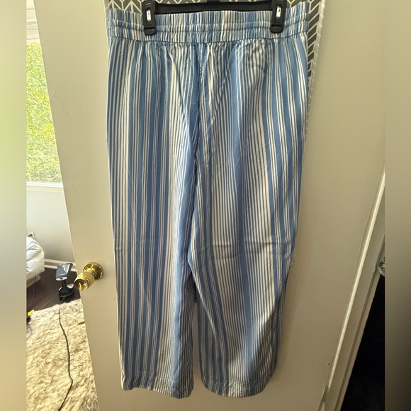 Everlane Blue Striped Wide Leg Pants - Picture 3 of 3